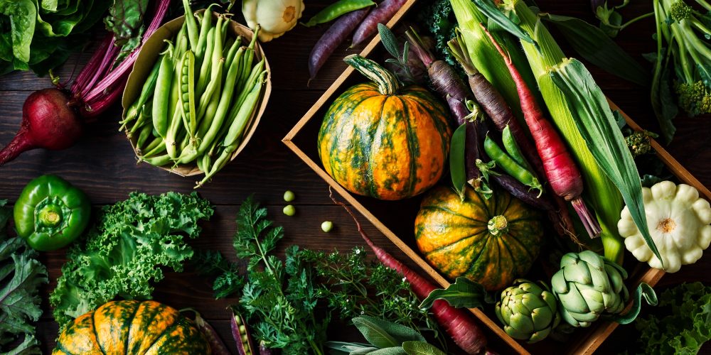 Fresh organic seasonal vegetables