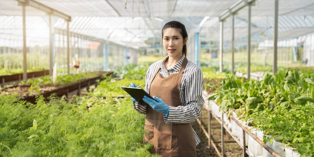 Friendly farmers at work in the greenhouse in the morning.